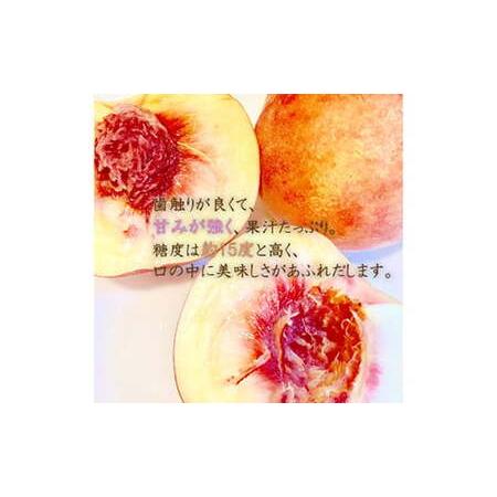 ふるさと納税 《2026年産先行受付》山形県産 白桃 3kg 品種玉数おまかせ もも モモ 桃 デザート フルーツ 果物 くだもの 果実 食品 山形県 FSY-2516 山形県の画像