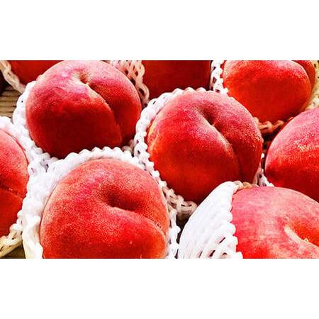 ふるさと納税 《2026年産先行受付》山形県産 白桃 3kg 品種玉数おまかせ もも モモ 桃 デザート フルーツ 果物 くだもの 果実 食品 山形県 FSY-2516 山形県の画像