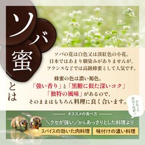 ふるさと納税 純粋はちみつ 130g 4種食べ比べ 【山本養蜂場】 ／ ハチミツ 蜂蜜 栃 とち そば 百花蜜 ギフト 贈り物 家庭用 お土産 手土産 食.. 岩手県八幡平市_2