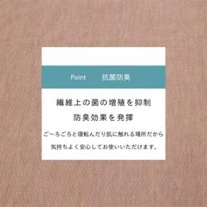 ふるさと納税 カーペット 日本製 抗菌防臭 軽量薄手 ジェミニ 352×440cm 江戸間 10畳用 ベージュ【1556114】 大阪府和泉市の画像