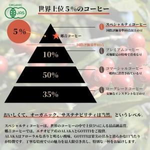 ふるさと納税 【定期便 全12回】スペシャルティコーヒードリップバッグ 2種 20袋 （中浅煎り／中深煎り 各10袋）【毎月配送コース】 大阪府泉佐野市_3