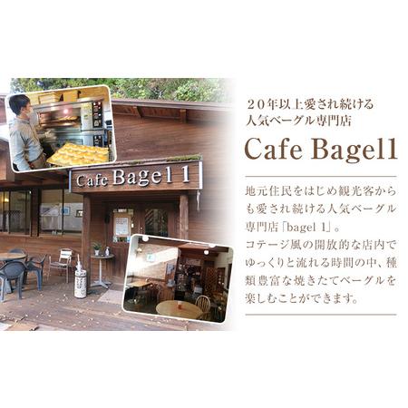 ふるさと納税 阿蘇の天然水使用 ベーグルセット 7種 10個入 ベーグル・ワン《30日以内に出荷予定(土日祝除く)》熊本県 南阿蘇村 ベーグル パン.. 熊本県南阿蘇村_1