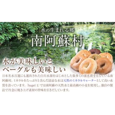 ふるさと納税 阿蘇の天然水使用 ベーグルセット 7種 10個入 ベーグル・ワン《30日以内に出荷予定(土日祝除く)》熊本県 南阿蘇村 ベーグル パン.. 熊本県南阿蘇村_2
