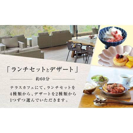 ふるさと納税 アトリエORIBE 陶芸体験 × テラスカフェ織部 ランチセットとデザート 体験チケット （大人1名＋子ども1名） 多治見市 / 織.. 岐阜県多治見市の画像