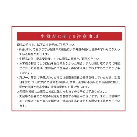 ふるさと納税 V6049_有田みかん【L】秀品10kg 薄皮で甘い美味しいみかん(お届け日指定不可) 和歌山県湯浅町|furunavi|03