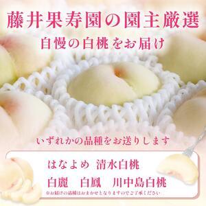 ふるさと納税 桃 2026年  岡山県産 家庭用 白桃 1.3kg以上（4〜6玉） 品種おまかせ＜6月下旬以降発送＞ 岡山県岡山市の画像