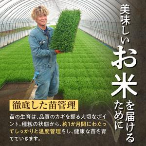 ふるさと納税 定期便 北海道産 ななつぼし 精米 10kg 3回 お米 北海道雨竜町_1