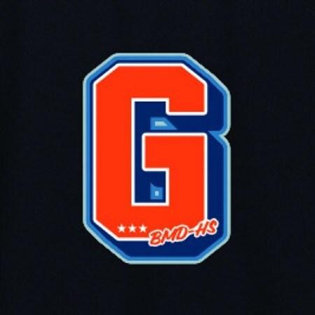 ふるさと納税 JTTA使用許可 ピンポン制服【男女兼用(素っ気ない):L大きさ】英字 G 黒いこと_かざり付ける品・作物品  御召しもの _【1565693】 岐阜県羽島市