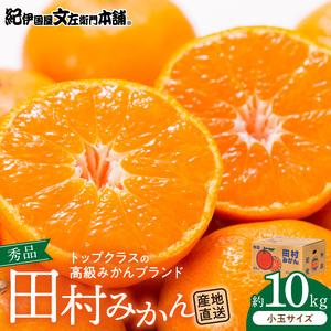 福袋 和歌山県湯浅町 小玉 秀品 10kg V6058 田村みかん ふるさと納税 みかん レモン 柑橘類 和歌山県湯浅町 フルーツ Pomonavalleyminingco Com