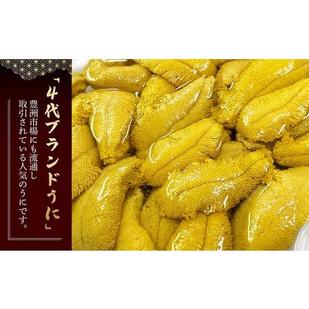 ふるさと納税 【2026年発送】まるひろ橘水産の折生うに（約250g） 雲丹