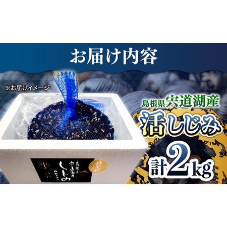 しじみ 新鮮採れたて！宍道湖産活大和しじみ特大粒 2kg (砂は