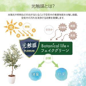 ふるさと納税 フェイクグリーン オリーブ 130cm 光触媒加工 鉢付き インテリア 抗菌 消臭 愛知県 豊橋市 送料無料 52000円 愛知県豊橋市_2