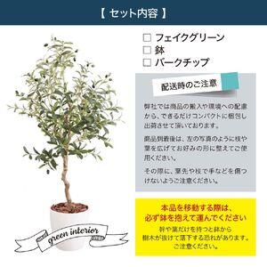 ふるさと納税 フェイクグリーン オリーブ 130cm 光触媒加工 鉢付き インテリア 抗菌 消臭 愛知県 豊橋市 送料無料 52000円 愛知県豊橋市_3