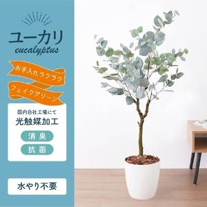 ふるさと納税 フェイクグリーン ユーカリ 150cm 光触媒加工 鉢付き インテリア 抗菌 消臭 愛知県 豊橋市 送料無料 58000円 愛知県豊橋市_1