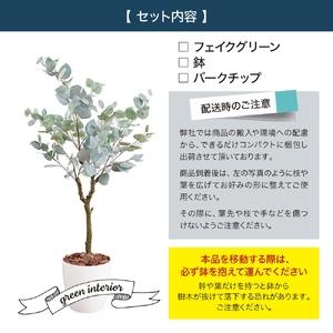 ふるさと納税 フェイクグリーン ユーカリ 150cm 光触媒加工 鉢付き インテリア 抗菌 消臭 愛知県 豊橋市 送料無料 58000円 愛知県豊橋市_3