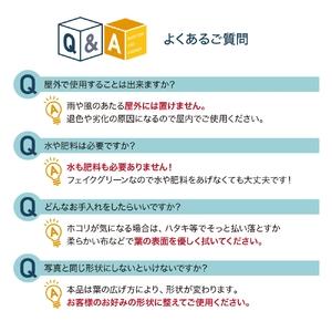 ふるさと納税 フェイクグリーン ユーカリ 150cm 光触媒加工 鉢付き インテリア 抗菌 消臭 愛知県 豊橋市 送料無料 58000円 愛知県豊橋市_4
