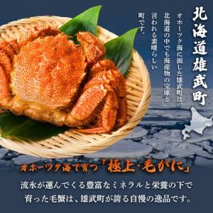 ふるさと納税 【北海道雄武町産】毛がに（凝結）(750g前後×1)【1240601】 北海道雄武町