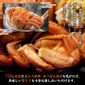ふるさと納税 【北海道雄武町産】毛がに（凝結）(750g前後×1)【1240601】 北海道雄武町