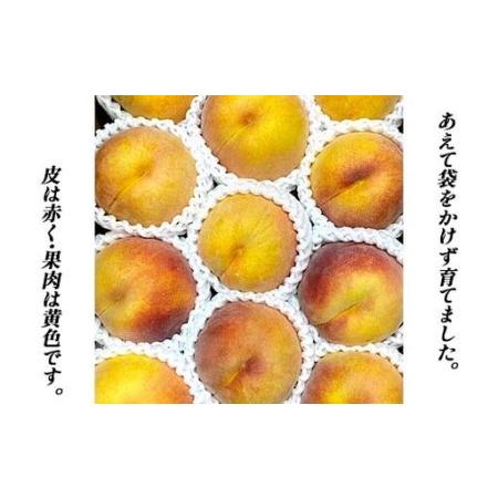 ふるさと納税 【先行受付 令和8年度発送】山形もぎたて『黄金桃』(無袋)3kg FSY-2538 山形県の画像