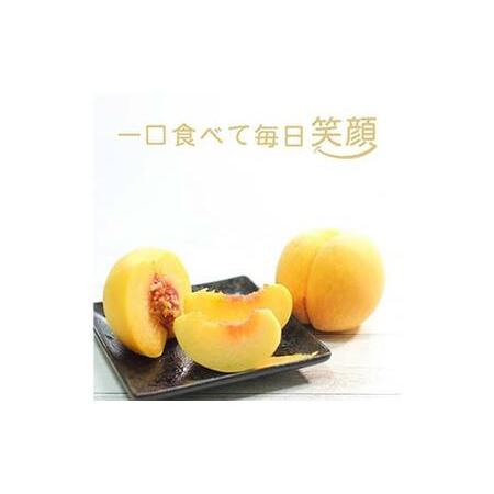 ふるさと納税 【先行受付 令和8年度発送】山形もぎたて『黄金桃』(無袋)3kg FSY-2538 山形県の画像