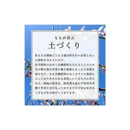 ふるさと納税 【先行受付 令和8年度発送】山形もぎたて『黄金桃』(無袋)3kg FSY-2538 山形県の画像