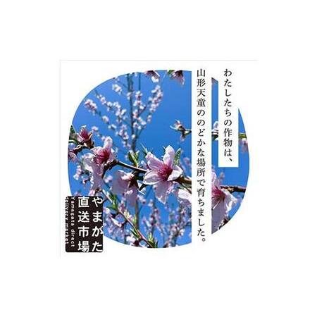 ふるさと納税 【先行受付 令和8年度発送】山形もぎたて『黄金桃』(無袋)3kg FSY-2538 山形県の画像