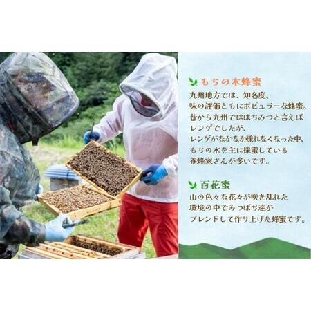 ふるさと納税 【2か月定期便】みよしのみつ(百花蜜・もちの木)220g×2本 K063394 佐賀県基山町の画像