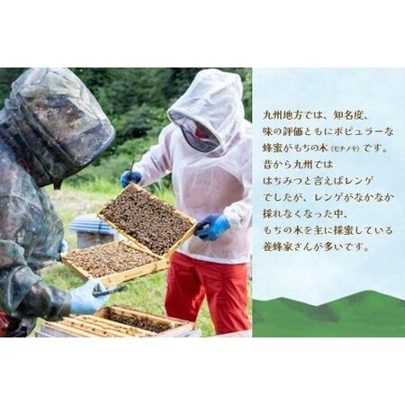 ふるさと納税 【3か月定期便】みよしの蜂蜜(もちの木)220g×1本 K063401 佐賀県基山町の画像