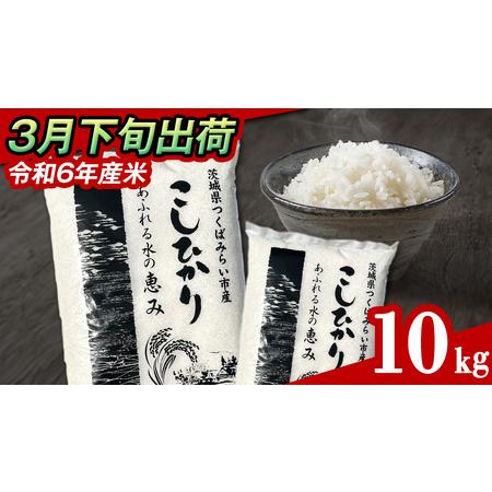 ふるさと納税 【 3月下旬発送 / 数量限定 】茨城県産 コシヒカリ 精米 