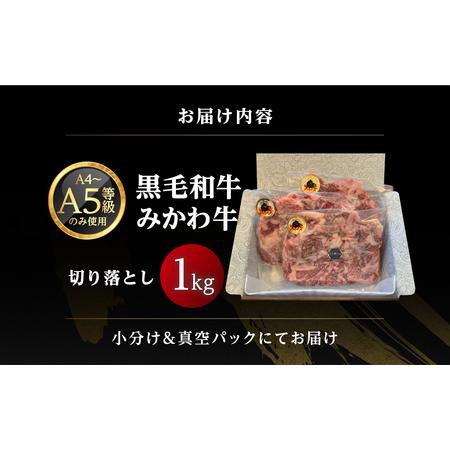 キャニスター】 🏄 黒毛和牛 みかわ牛 切り落とし 1kg 愛知県豊橋市