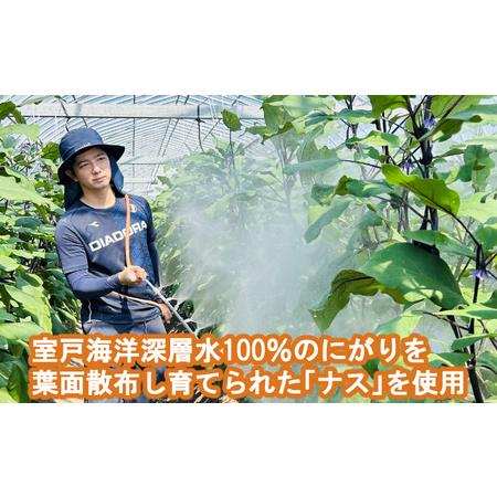 《 定期便/全３回 》 揚げナス 合計1.8kg【輪切り】海洋深層水仕込みのナス使用 カット済 野菜 やさい ナス なす 茄子 生産量日本.. 高知県室戸市 【や】
