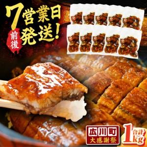 ふるさと納税 きざみうなぎ 計1kg きざみうなぎ [AFBS001] 福岡県広川町