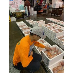 ふるさと納税 鯛めし 愛媛 みかん鯛めしの素 3合炊き2パック 魚屋さんが作った 自家製 吉井鮮魚 | B373 愛媛県伊予市_4