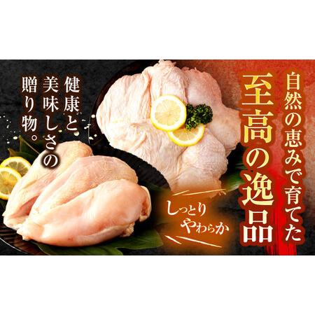 ふるさと納税 【6回定期便】【長崎県産】長崎夢みどり(鶏もも肉1kg×2P、むね肉1kg×2P・4kgセット) / モモ肉 もも肉 ムネ肉 むね肉 鶏.. 長崎県諫早市の画像