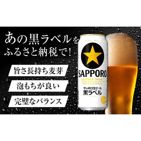 ふるさと納税 【全10回定期便】サッポロ生ビール 黒ラベル 500ml×24缶  合計240缶 /ビール お酒  黒ラベル 大分 日田 サッポロビール /[ARD.. 大分県日田市_1