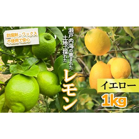 ふるさと納税 [レモン][2026年1月より順次発送]イエローレモン 約1kg |愛媛県松山市[MSD001_y] 愛媛県松山市