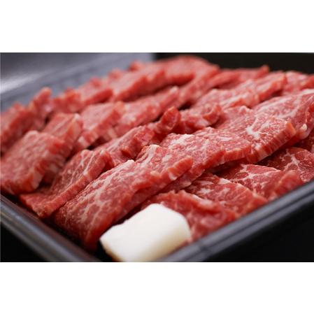 ふるさと納税 【30営業日以内配送】幸せを運ぶ牛《幸生牛》希少牛 焼肉 （モモ、肩、バラ おまかせ） 500g（500g×1パック） 018-D-YL053 山形県寒河江市