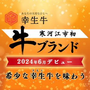 ふるさと納税 【30営業日以内配送】幸せを運ぶ牛《幸生牛》希少牛 焼肉 （モモ、肩、バラ おまかせ） 500g（500g×1パック） 018-D-YL053 山形県寒河江市