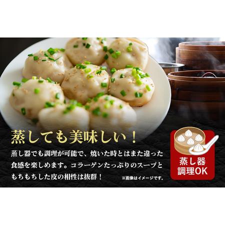 ふるさと納税 小籠包 30g×60個入り ショウロンポウ 点心【小籠包】【ho1436】 茨城県常陸大宮市の画像