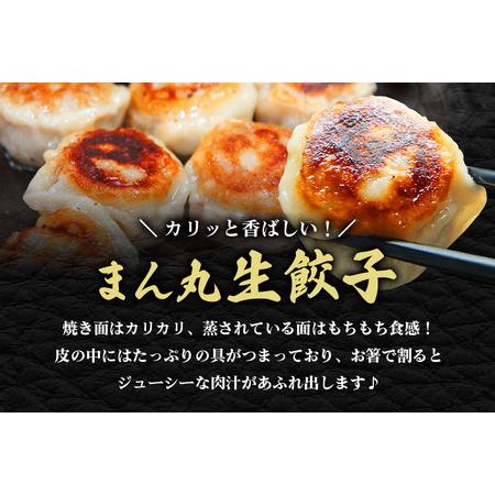 ふるさと納税 まん丸生餃子冷凍30g×60個入り（1pac 6個入り） 焼餃子 ぎょうざ 【餃子】【ho1439】 茨城県常陸大宮市の画像