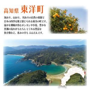 ふるさと納税 ＜数量限定＞ウチワエビ（ボイル）7匹前後 500gセット【S246】 高知県東洋町_4