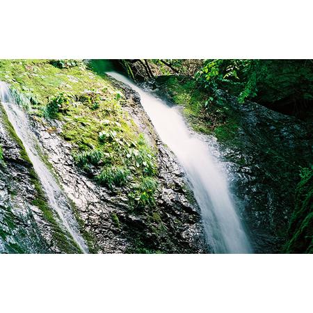ふるさと納税 秩父源流水500ml×24本 2箱 No.519 埼玉県秩父市の画像