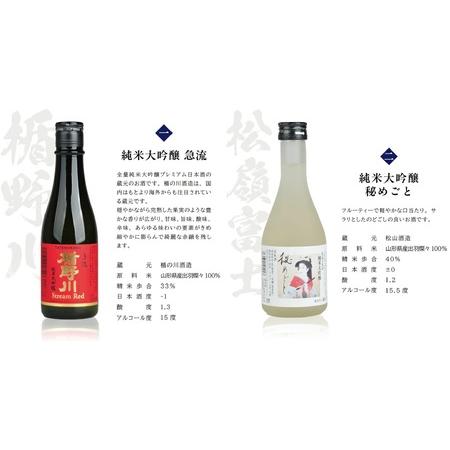 ふるさと納税 SC0702 ［酒の酒田］吟醸飲んだくれ比べ仕かける 計5本(各300ml×1本)【楯野川、松嶺の富士、初孫、清泉川、上喜元】 円錐小体県酒田市