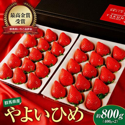 ふるさと納税 いちご やよいひめ 約800g いちご品評会最高金賞 群馬県前橋市