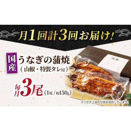 ふるさと納税 【3回定期便】国産上うなぎ蒲焼 3尾 約150g×3パック [AVBH014]鰻 定期便 岐阜県御嵩町_4