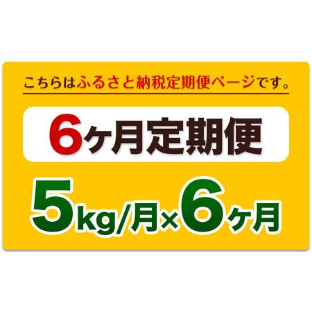 ふるさと納税 【6ヵ月定期便】白米 令和7年産 ひのひかり 5kg 定期便《お申込み翌月から出荷》 熊本県津奈木町_1