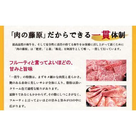 ふるさと納税 赤身 焼肉用 1.5kg (750g×2パック) 国産 黒毛和牛 とくしま三ツ星ビーフ 徳島県産 ブ 徳島県小松島市