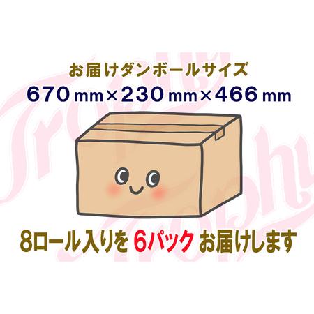 ふるさと納税 定期便 【全4回】 3ヶ月に1回お届け トイレットペーパー ダブル トロフィー 8R×6P(48個) 日用品 エコ 防災 備蓄 消耗品 生活.. 静岡県富士市の画像