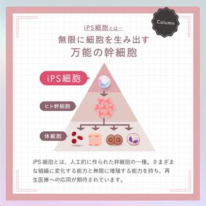 ふるさと納税 Asmy(アズミー) 《導入美容液》センシティブ ベースケアコンク 28mL×2 化粧品 美容液 先行美容液 スキンケア 北海道芦別市_2