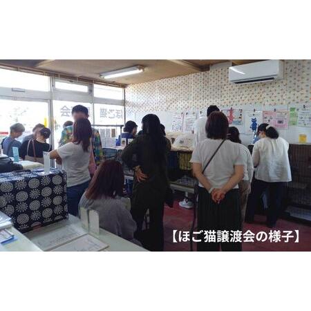 ふるさと納税 定期便 6回 コーヒー 保護猫活動を応援！ ドリップバッグ 10袋×6カ月 珈琲 ドリップコーヒー 福岡県小郡市_2